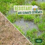 Aléas climatiques - Gazon Aléas Climatiques - 1 kg - image